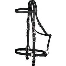 Weaver Brahma Synthetic Halter Bridle