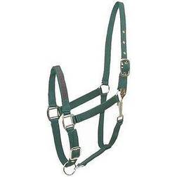 Gatsby I Love My Horse Nylon Horse Halter