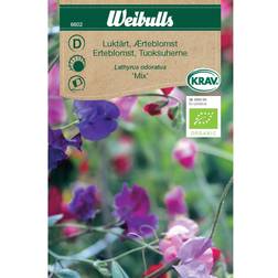 Weibulls Luktärt Mix Blomsterfrø