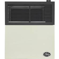 11 000 Btu Direct Vent Natural Gas Heater