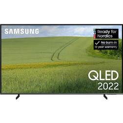 Samsung QE55Q65B