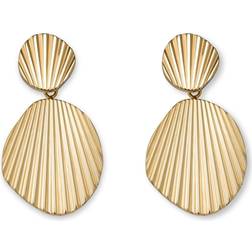 Rosefield Shell