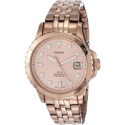 Fossil FB-01 (ES4748)