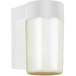 4810 Wall Light