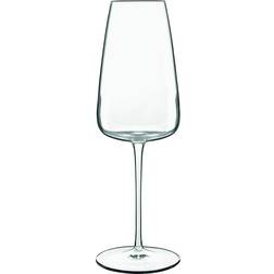 Luigi Bormioli Bormiloi, Talismano Prosecco Glasses, Set of 4 Champagne Glass