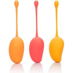 CalExotics Kegel Training Set Mango