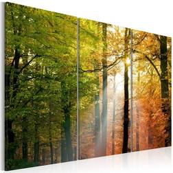 Arkiio A calm autumn forest 120x80 Tavla