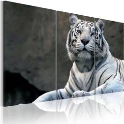 Arkiio White Tiger Tavla 120x80cm