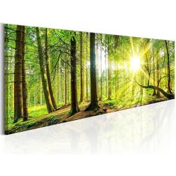 Arkiio Majestic Trees Tavla 150x50cm