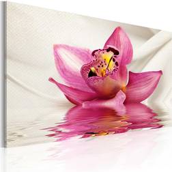 Arkiio Unusual Orchid 60X40 Rosa Vit Blommor Tavla