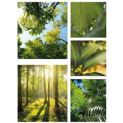 Art for the Home Silence Green Décoration Murale 60x80cm 5pcs