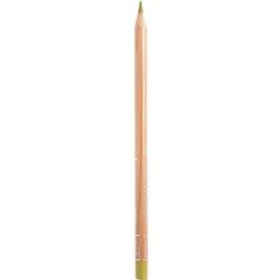 Caran d’Ache Professional Luminance Colored Pencils olive brown 50% 736