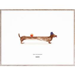 Paper Collective Doug the Dachshund 50x70 cm Plakat