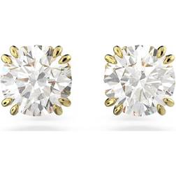 Swarovski Constella Round Cut Stud Earrings - Gold/Transparent