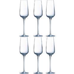 Chef & Sommelier Sublime Champagne Glass 21cl 6pcs