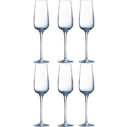 Chef & Sommelier Sublime Champagneglas 21cl 6st