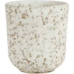 Olsson & Jensen Salt Mugg 8,5 cm Beige/Vit Kopp