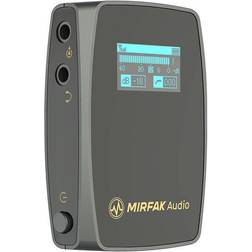 Mirfak Audio WE10