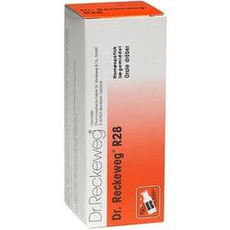Dr. Reckeweg R28, 50 ml