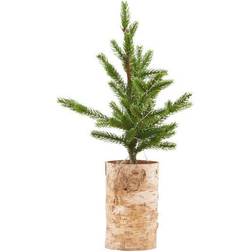 House Doctor Birch Julgran 44cm