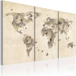 Arkiio Atlas of fjärilar triptych 120x80 Tavla