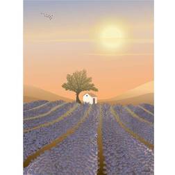 Vissevasse Danmark Lavender Field 30x40 cm Plakat