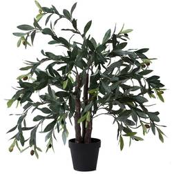 Vickerman Olive Tree 30"