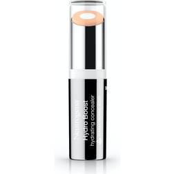 Neutrogena Hydro Boost Hydrating Concealer #10 Fair