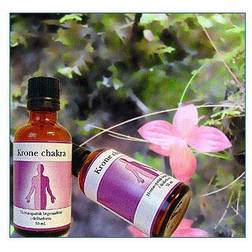 Holistica Medica Krone chakra 50 ml