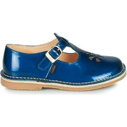 Dingo - Blue /Varnish