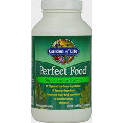 Garden of Life Perfect Food 300 st