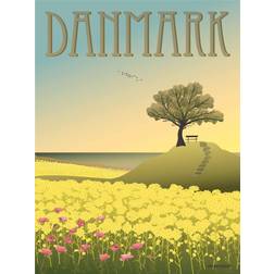 Vissevasse Denmark Rapsmarkerne Plakat 50x70cm