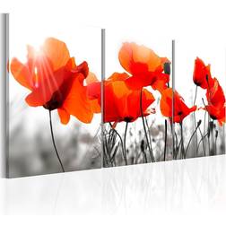 Arkiio Charming Poppies 60x30 Tavla