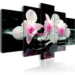 Arkiio Rest of Orchids 200x100 Tavla 200x100cm