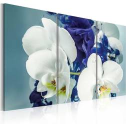 Arkiio Chimär orkidéer 120x80 Tavla