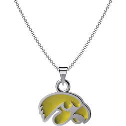 Dayna Designs Iowa Hawkeyes Enamel Pendant Necklace - Silver/Green