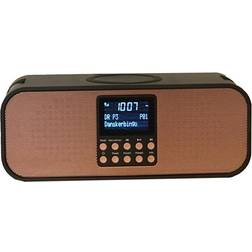 Scansonic PA8001