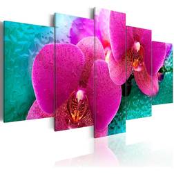 Arkiio Exotic Orchids 100x50 Tavla