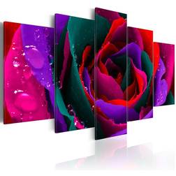 Arkiio Multicoloured rose 100x50 Tavla