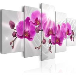 Arkiio Abstract Garden Pink Orchids 200x100 Tavla 200x100cm