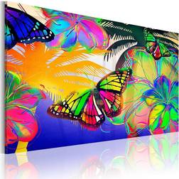 Arkiio Exotic butterflies 60x40 Tavla