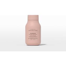 Omniblonde OMNIBLONDE Rejuvenation Shampoo 40ml