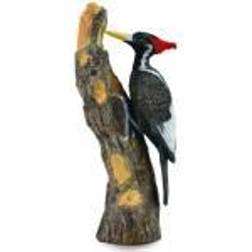 Collecta Greater Spotted Woodpecker figurine size L (004-88802)