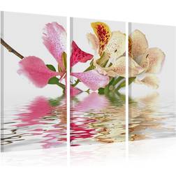 Artgeist Orchid With Colorful Spots 120x80 sp. z o. o Tavla