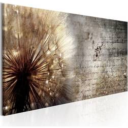 Arkiio Dandelion on Concrete 150x50 Tavla