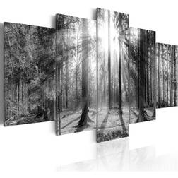 Arkiio Forest of Memories 200x100 Tavla 200x100cm