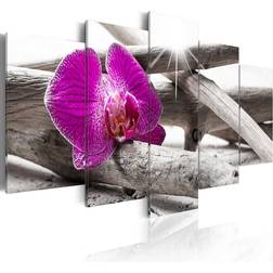 Arkiio Orchid on beach 100x50 Tavla 100x50cm