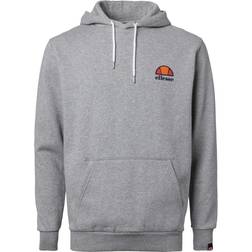 Ellesse Toce Hoodie Gray Male