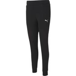 Puma Teamgoal 23 Casuals Pants - Grå