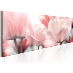 Arkiio Pink Tulips 120x40 Tavla